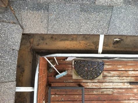 yelp gutter cleaning|DENVER GUTTER CLEANING .